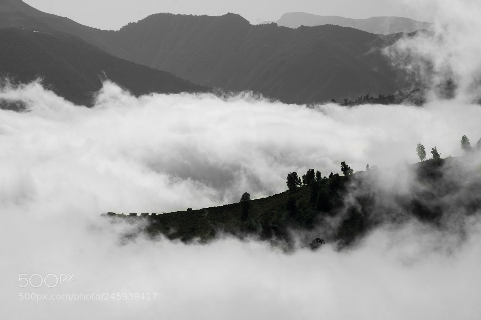 Nikon D7100 sample photo. Masal .04 photography