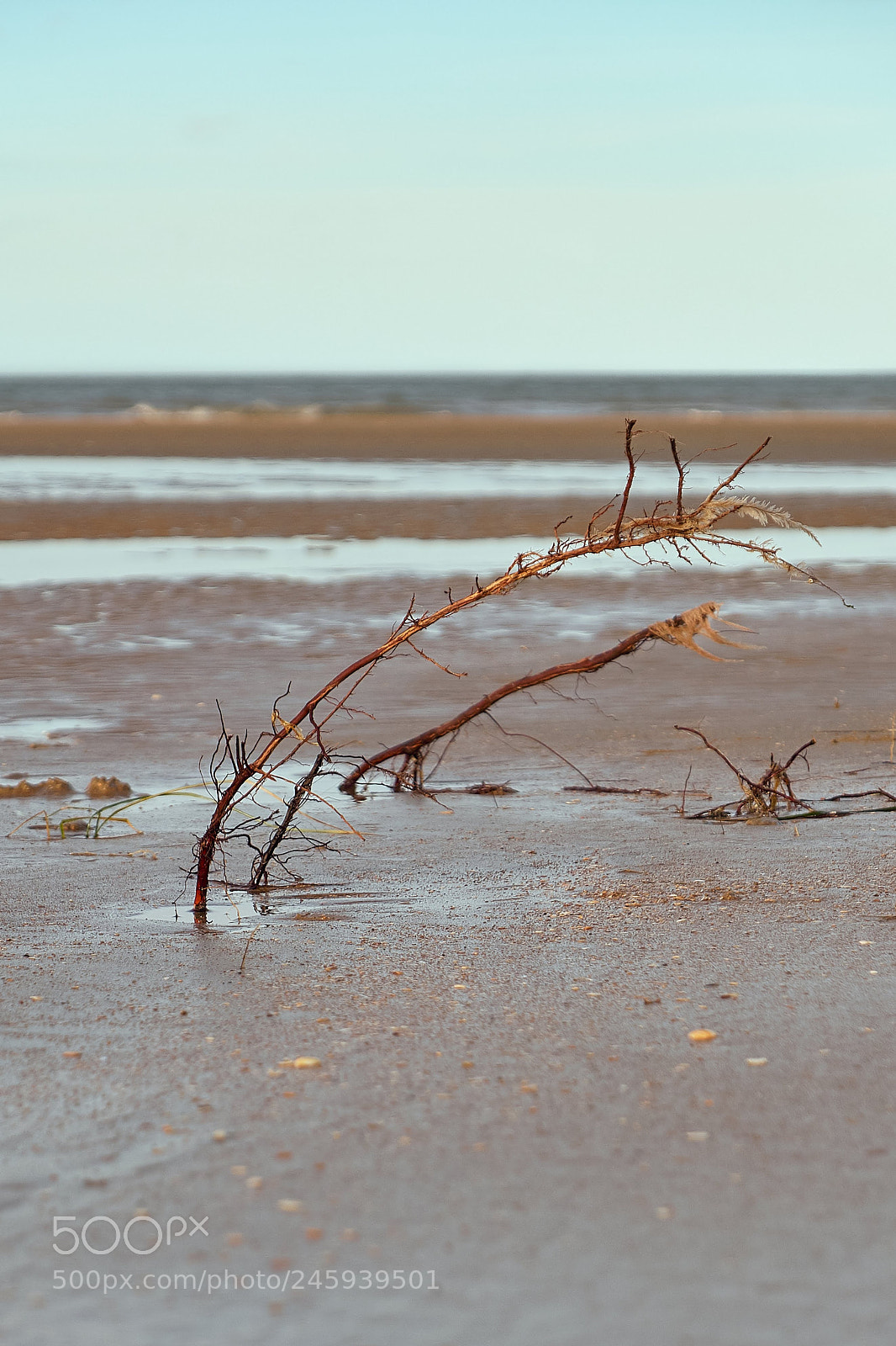 Fujifilm X-T20 sample photo. Escape photography