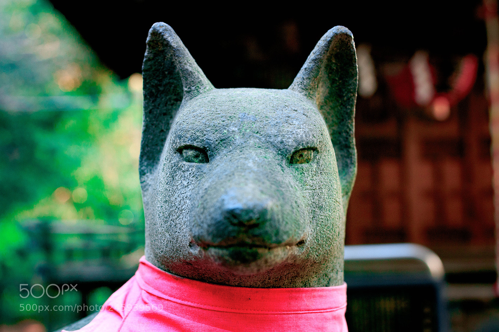 Canon EOS 7D Mark II sample photo. Foxy fox photography