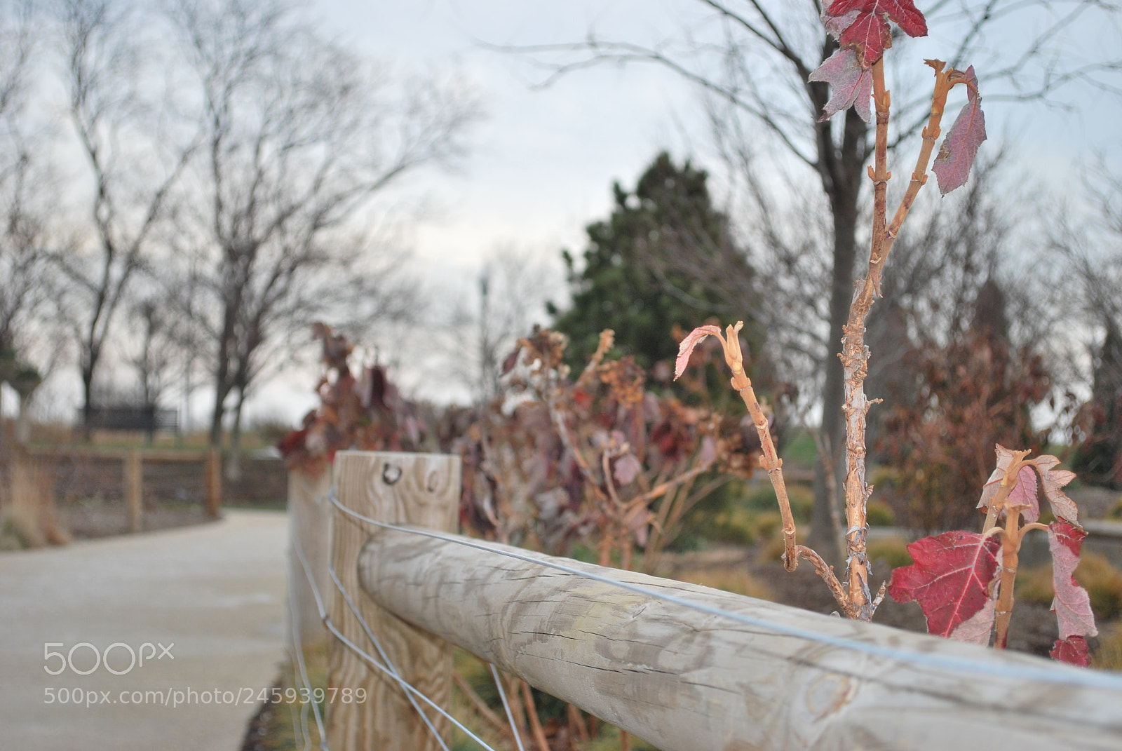 Nikon D60 sample photo. Untitled photography