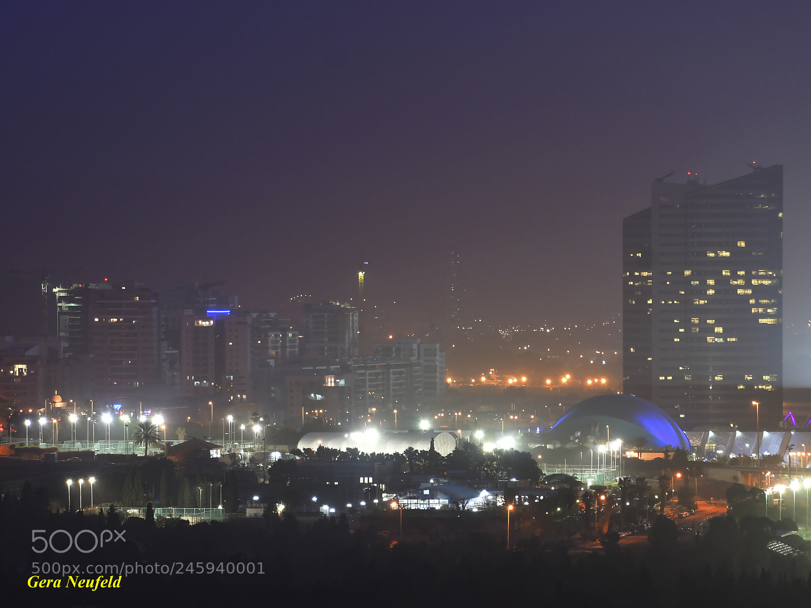 Nikon D500 sample photo. Fog photography