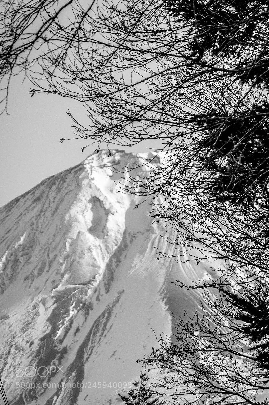 Nikon D5600 sample photo. Mt fuji from aokigara photography