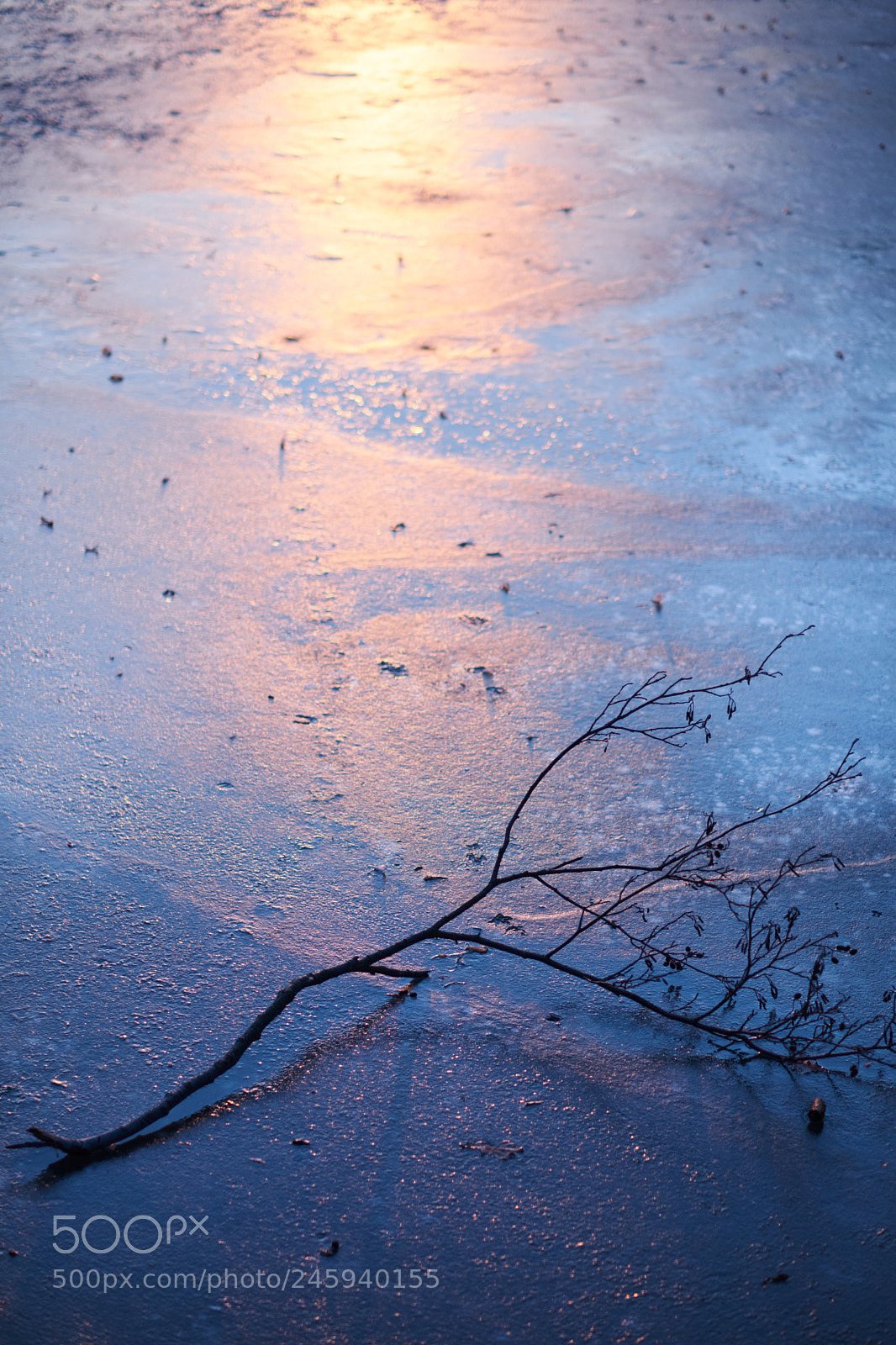 Fujifilm X-T20 sample photo. Winter sunset photography