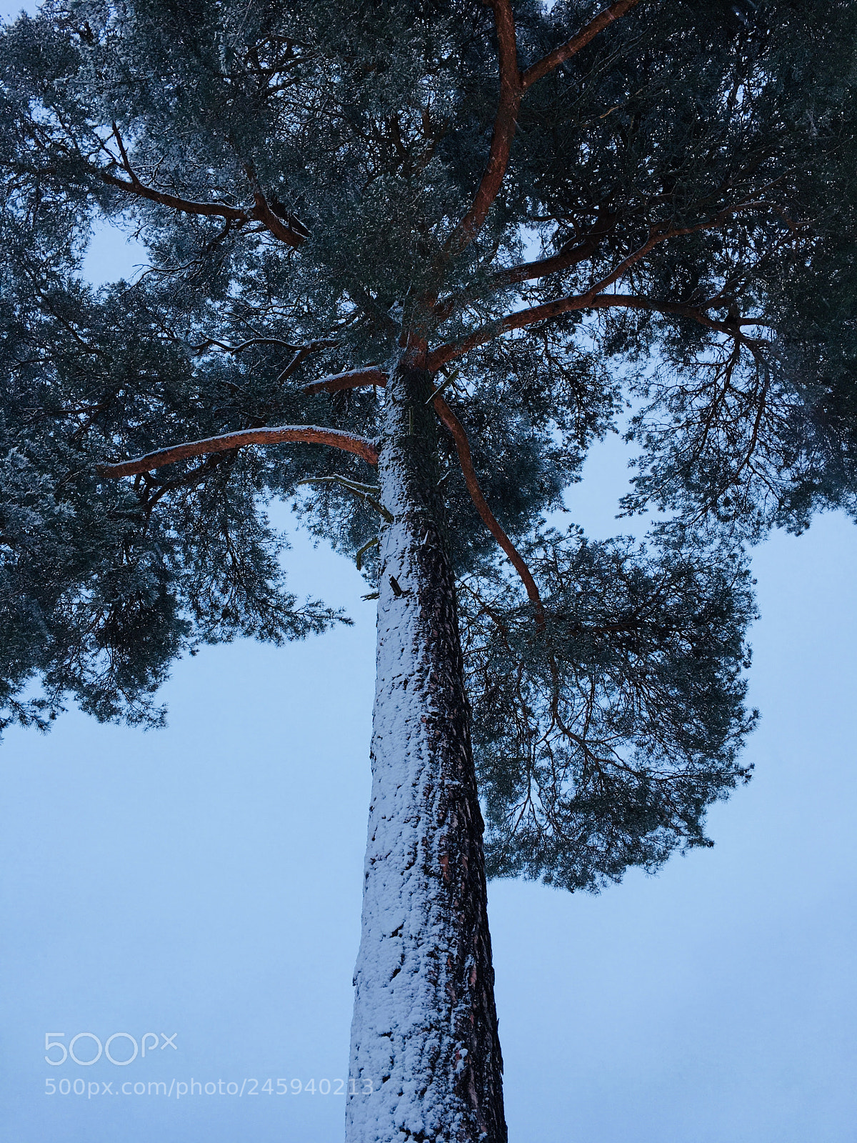Apple iPhone 6s sample photo. Snowing photography