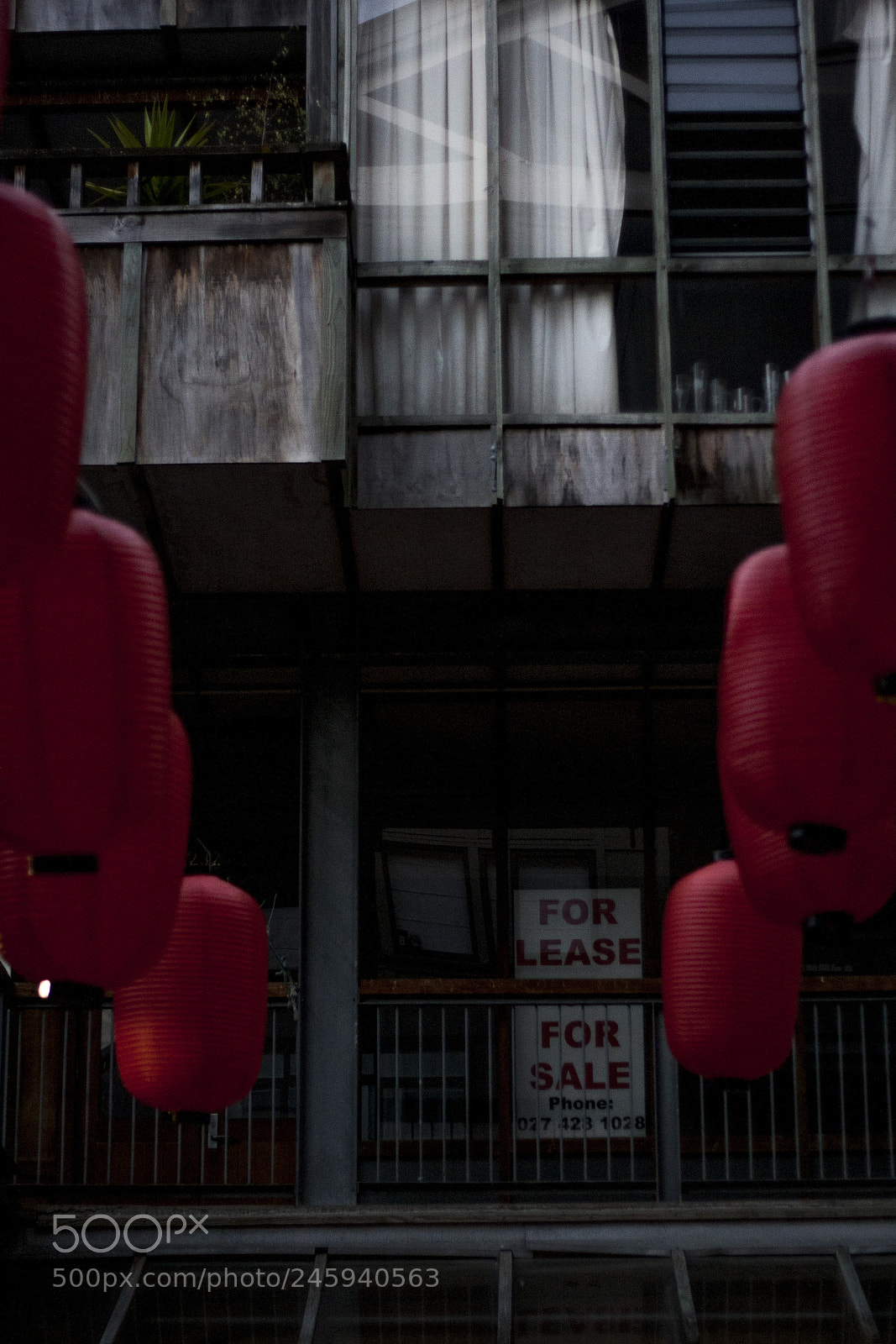 Canon EOS 1000D (EOS Digital Rebel XS / EOS Kiss F) sample photo. Day 97 photography