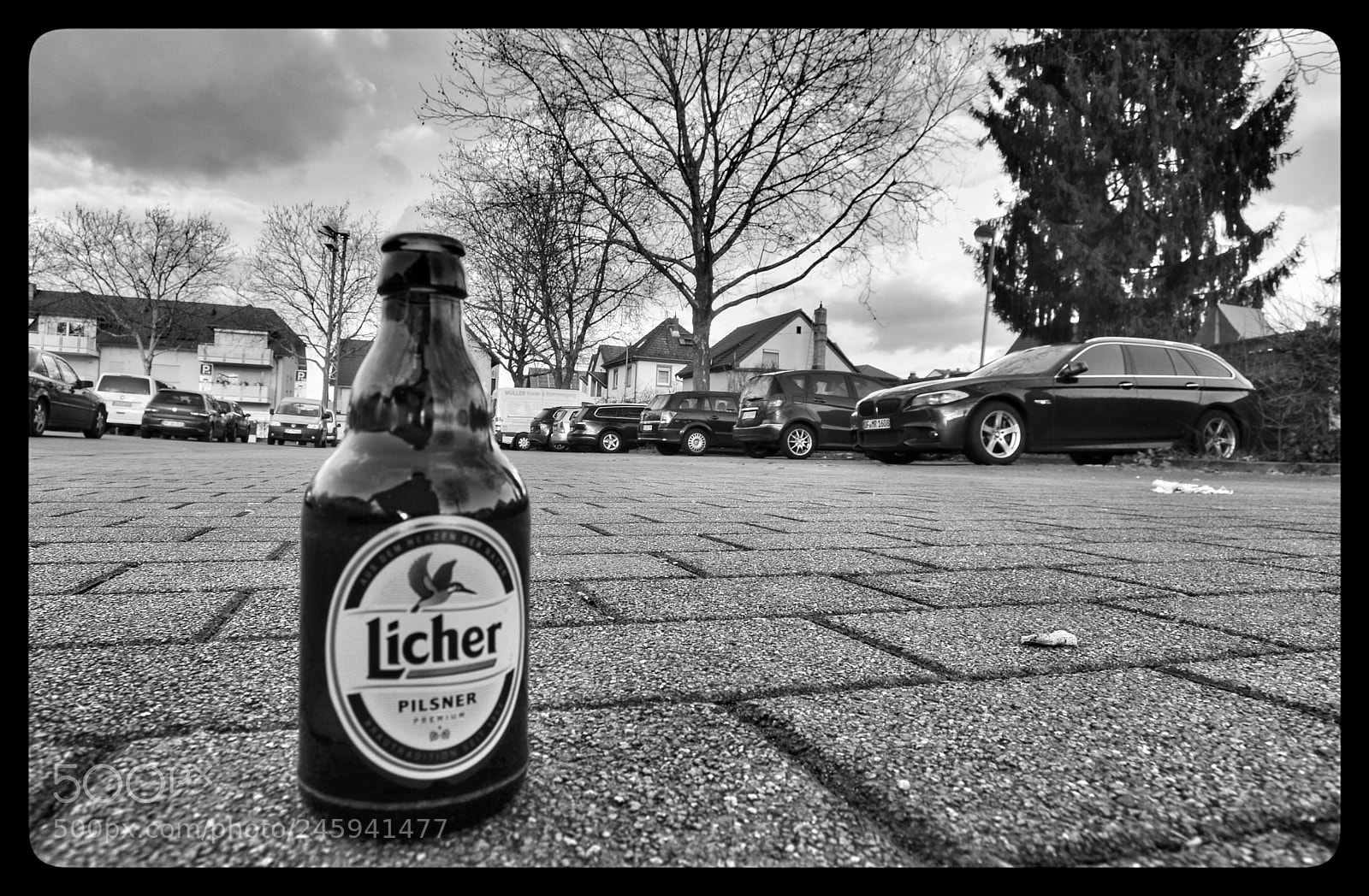 Nikon D5100 sample photo. Untitled photography