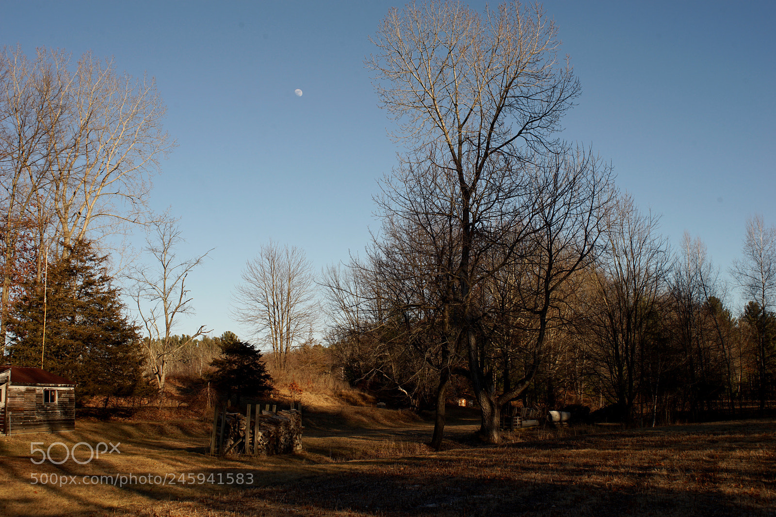 Sony a7 II sample photo. Untitled photography