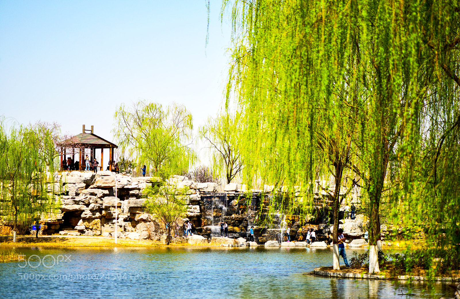 Nikon D810 sample photo. 校园一角 photography