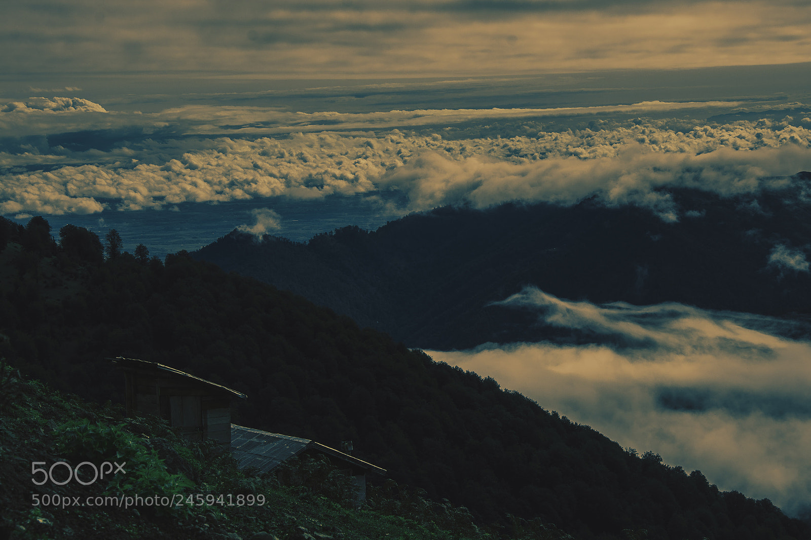 Nikon D7100 sample photo. Above .06 photography