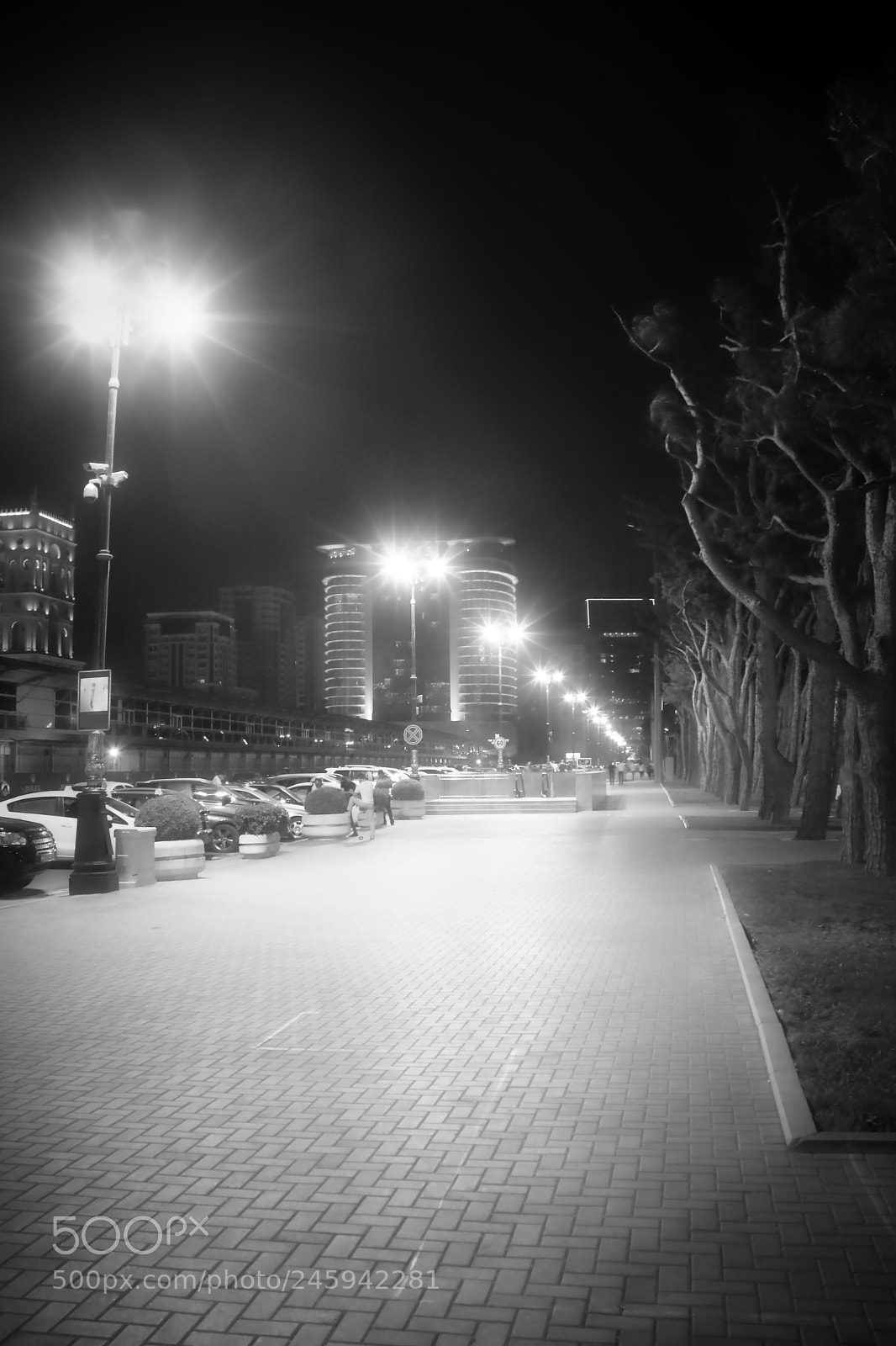 Canon EOS 100D (EOS Rebel SL1 / EOS Kiss X7) sample photo. A street at night photography