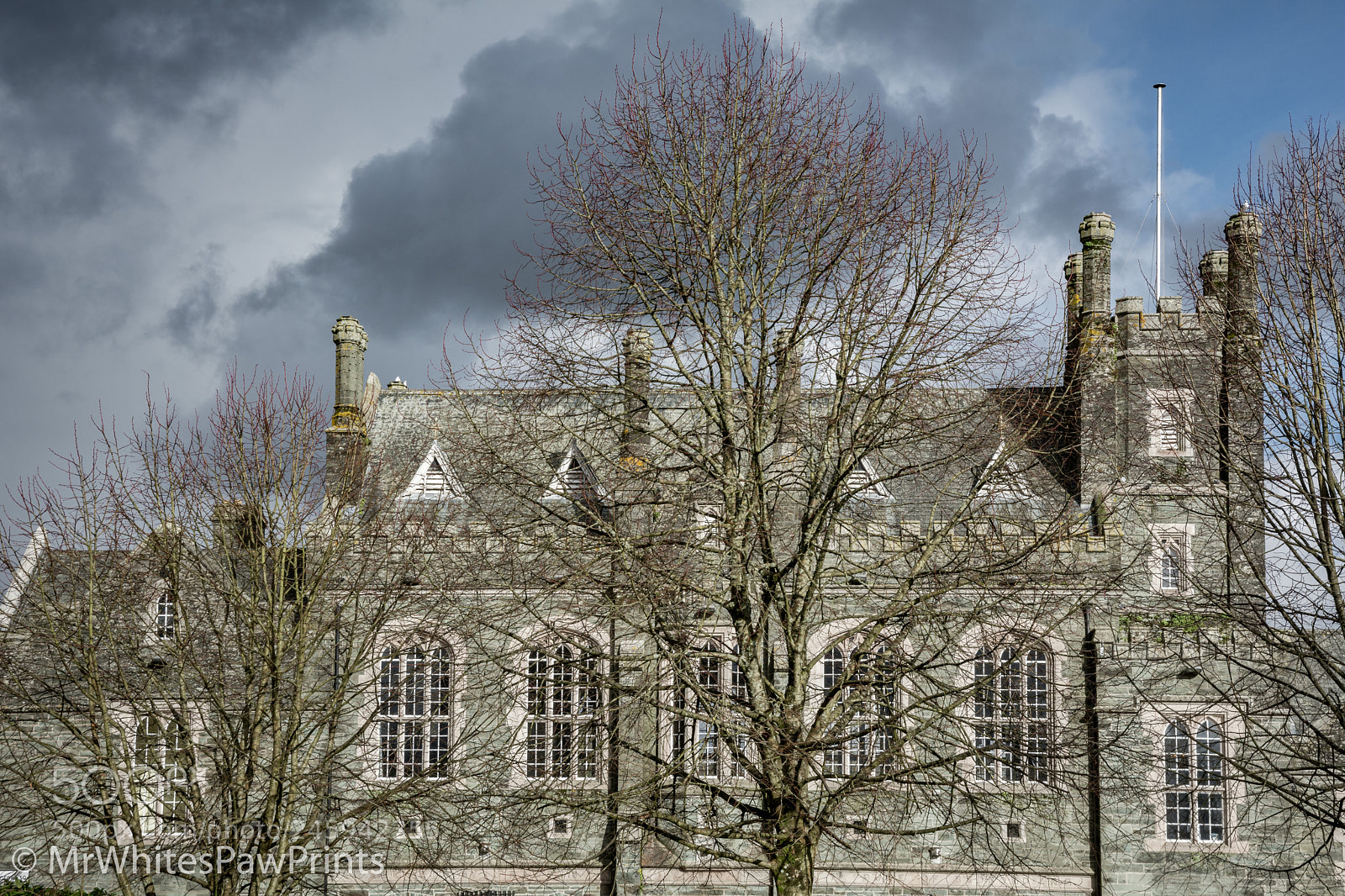 Nikon D7100 sample photo. Tavistock town hall photography