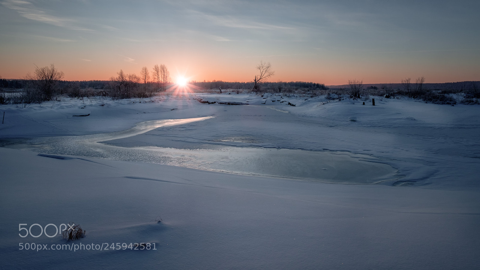 Fujifilm X-T20 sample photo. The frost morning on photography