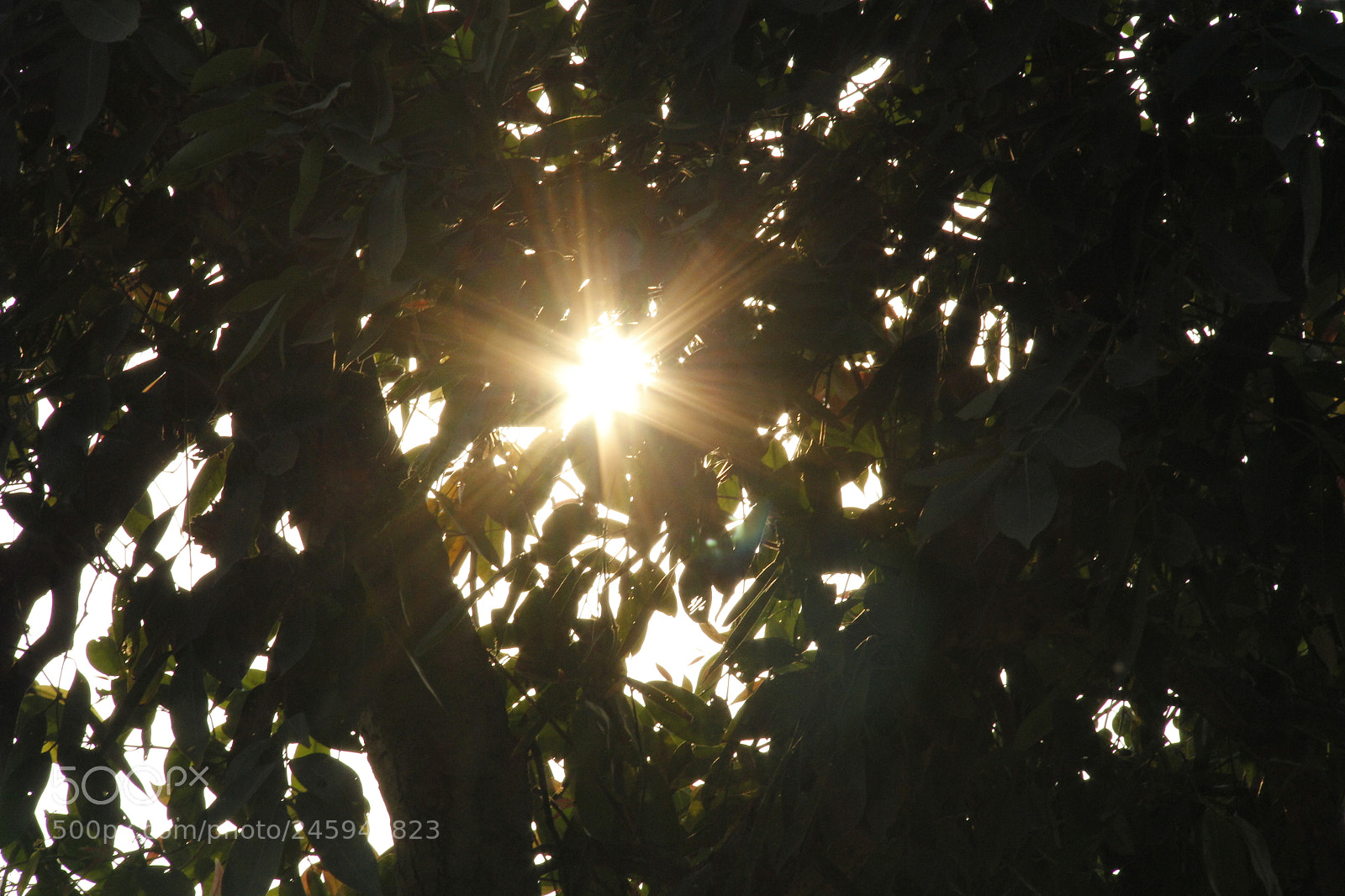 Canon EF-S 18-135mm F3.5-5.6 IS sample photo. Mg photography