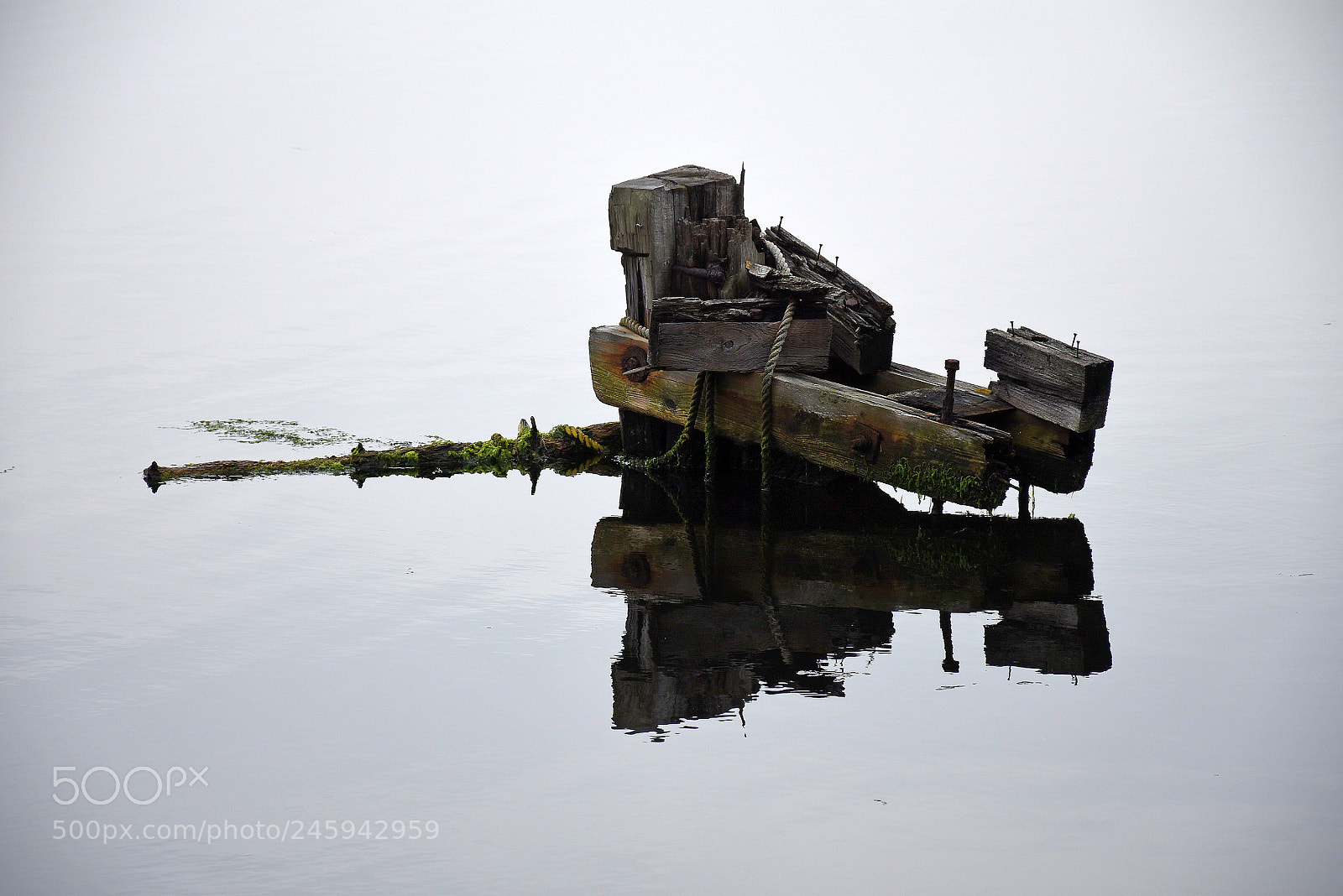 Nikon D7200 sample photo. Wood art in water photography