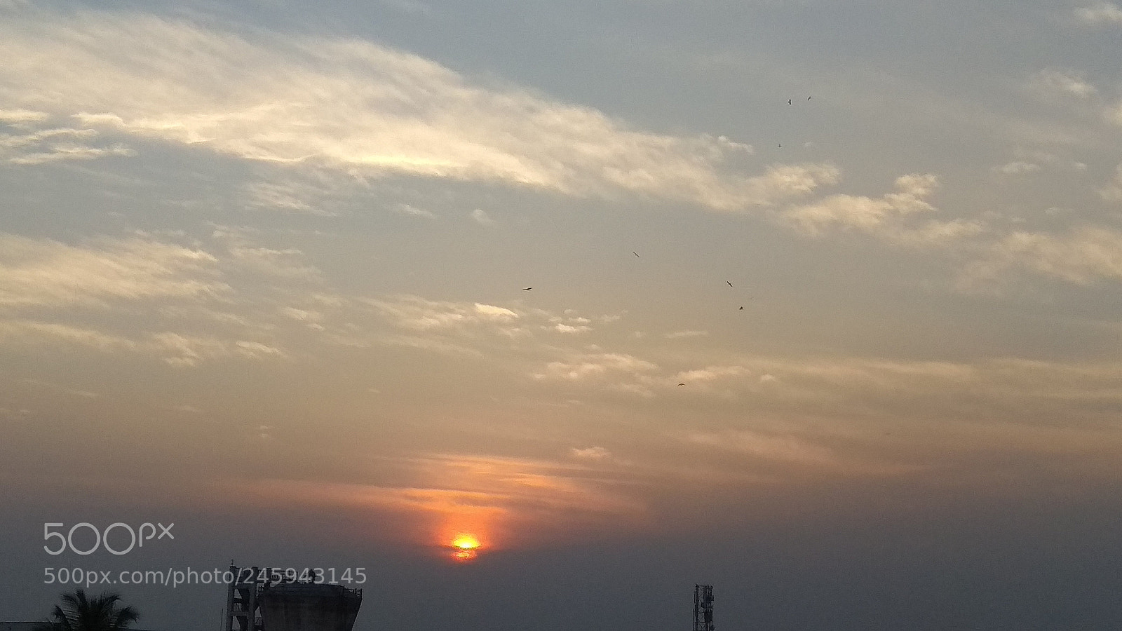 Xiaomi Redmi Note 4 sample photo. Untitled photography