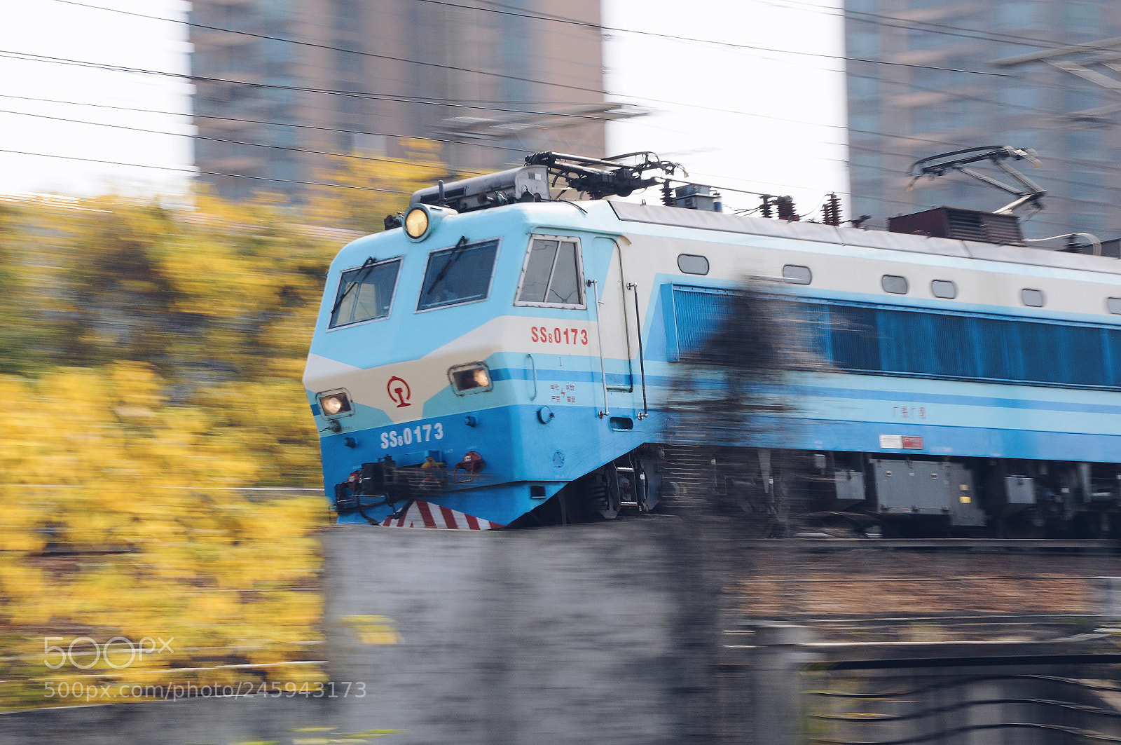 Nikon D90 sample photo. Ss8 photography