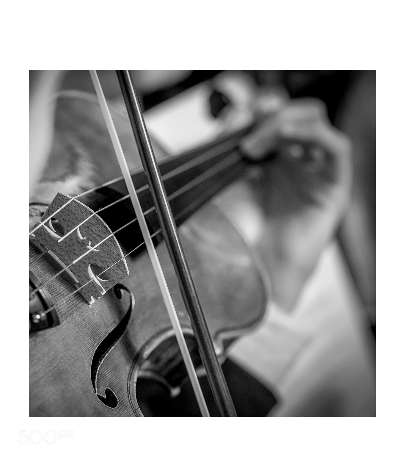 Nikon D4 sample photo. Violoniste photography