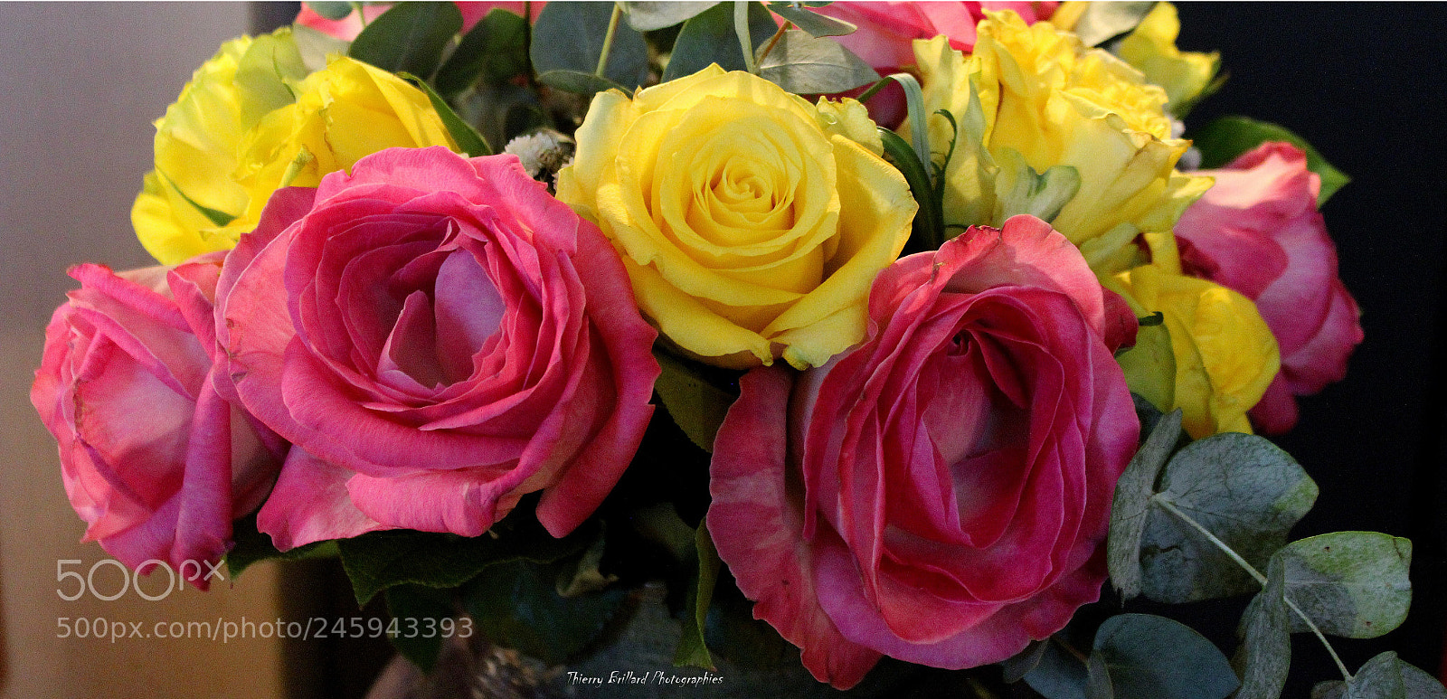 Canon EOS 600D (Rebel EOS T3i / EOS Kiss X5) sample photo. Bouquet de roses photography