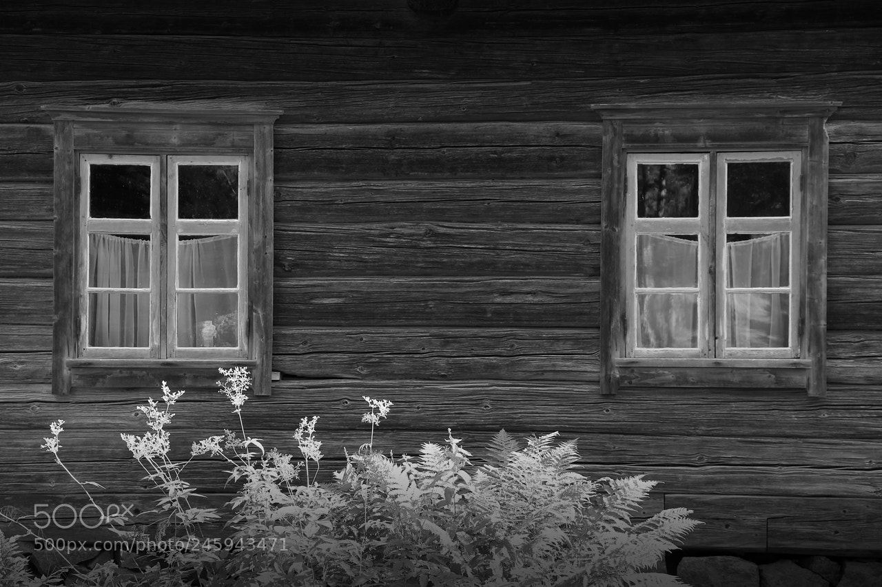 Canon EF-S 18-135mm F3.5-5.6 IS sample photo. Windows photography