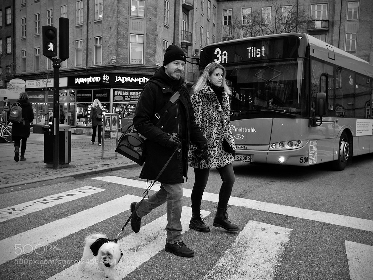 Fujifilm X-Pro2 sample photo. Green light photography