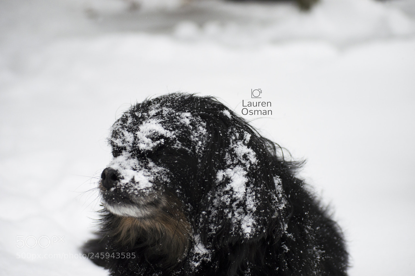 Nikon D3200 sample photo. Snowstorms & snow throws ? photography
