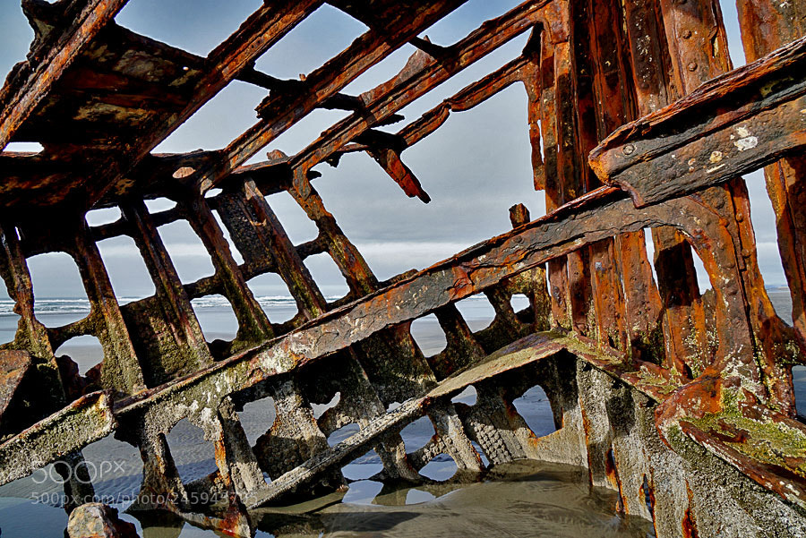 Sony a6000 sample photo. Up close peter iredale photography