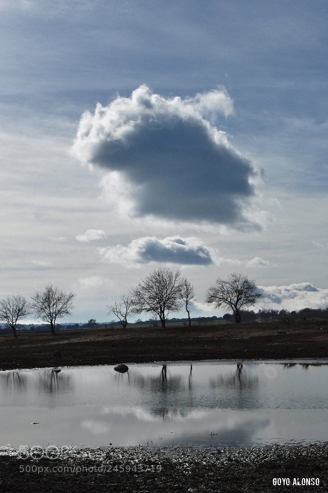 Nikon D5000 sample photo. Reflejos photography