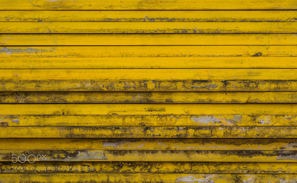 Canon EOS 7D Mark II sample photo. Pattern photography