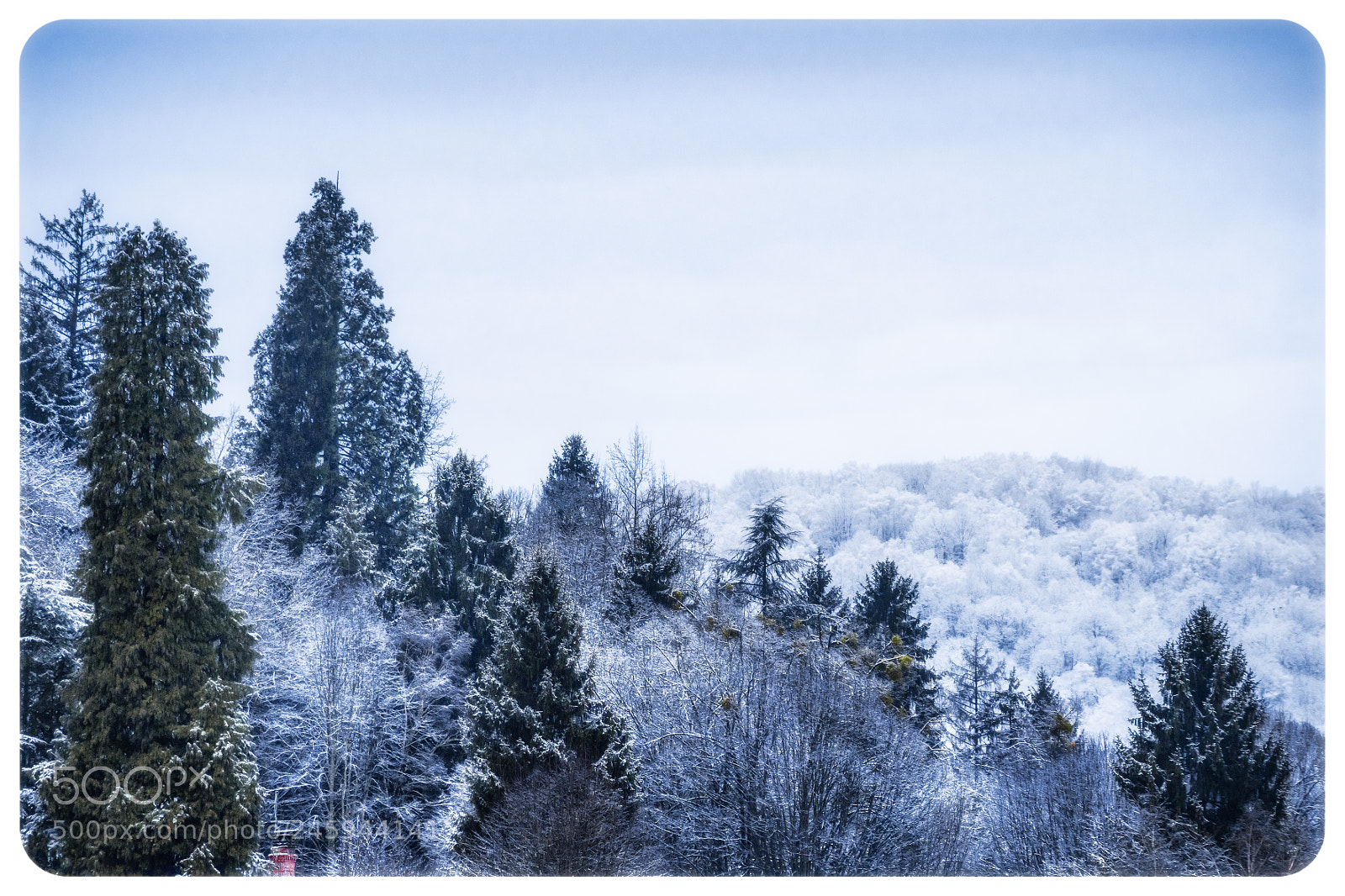 Nikon D7200 sample photo. Early waking up. photography