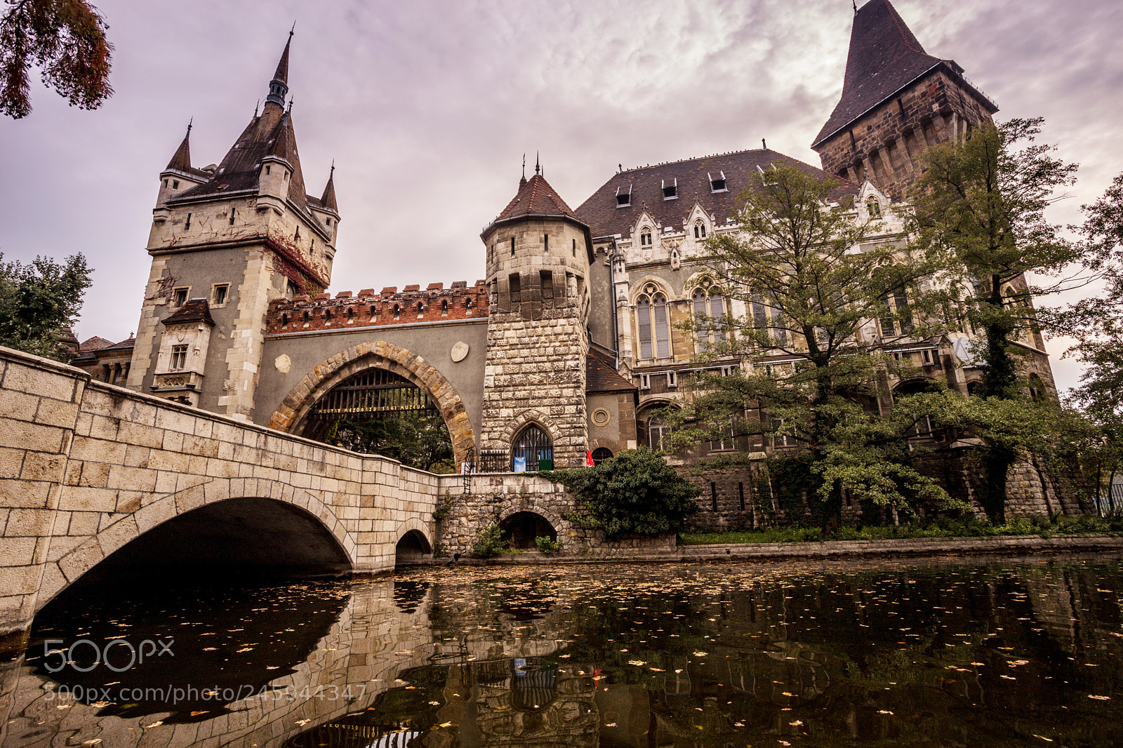 Canon EOS 6D Mark II sample photo. Vajadahunyad castle photography