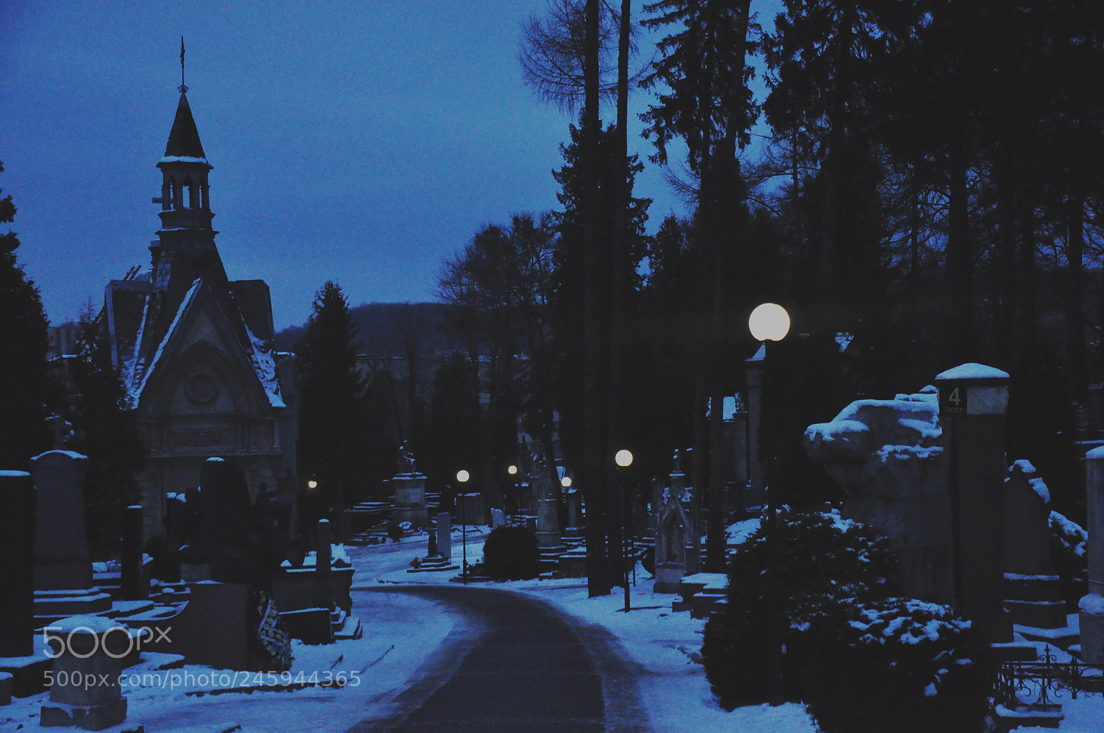 Nikon D90 sample photo. Lychakiv cemetery photography