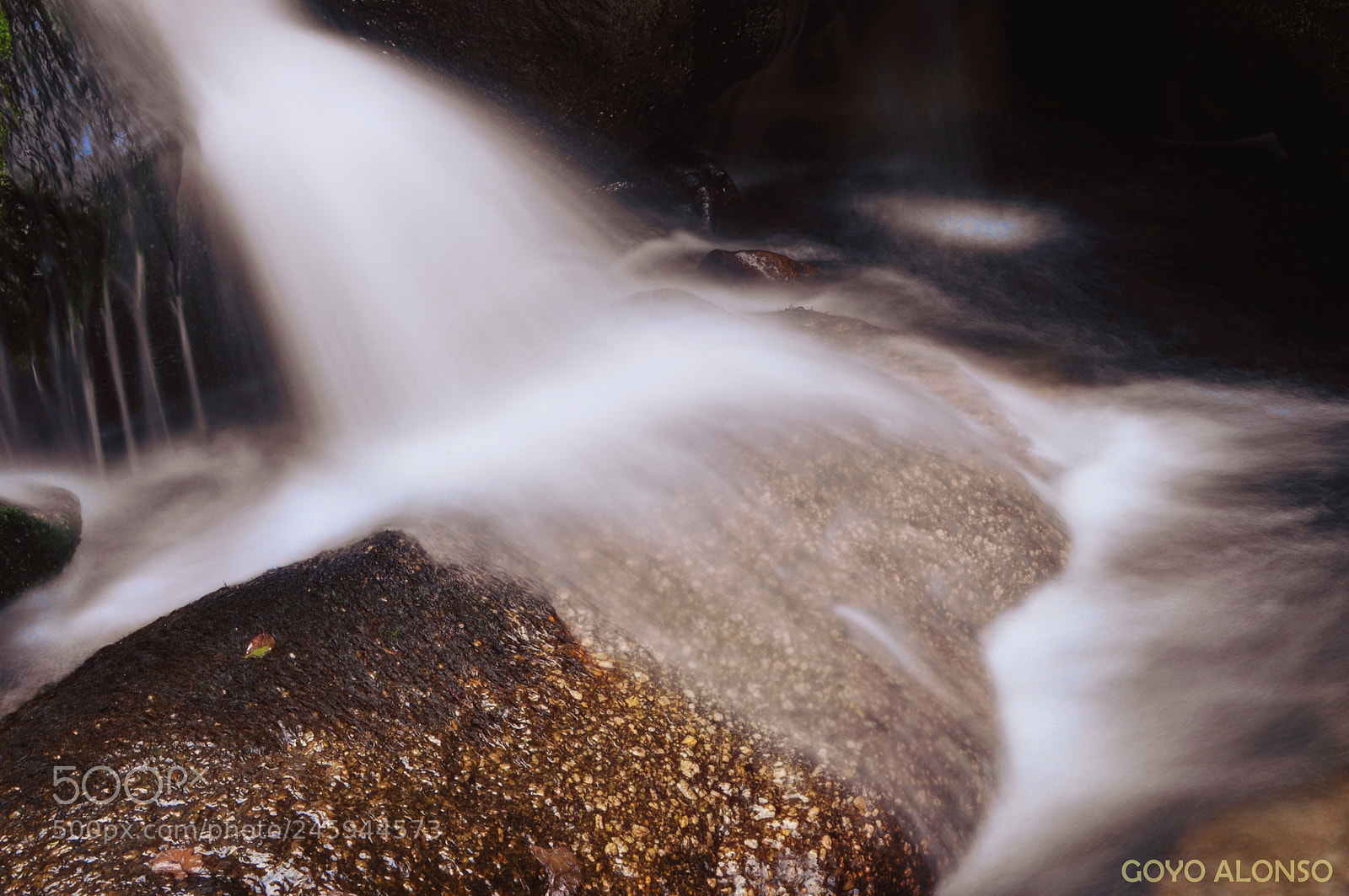 Nikon D5000 sample photo. Agua viva photography