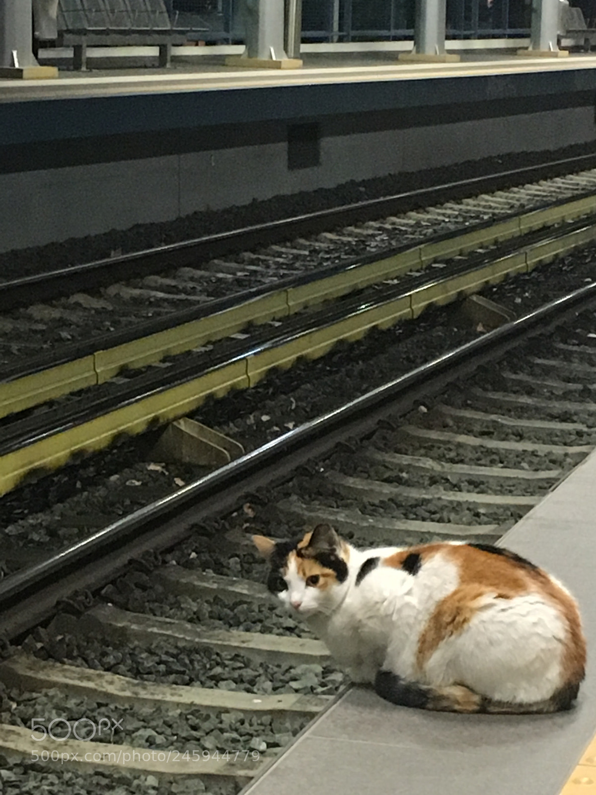 Apple iPhone 6s sample photo. Waiting for the train... photography