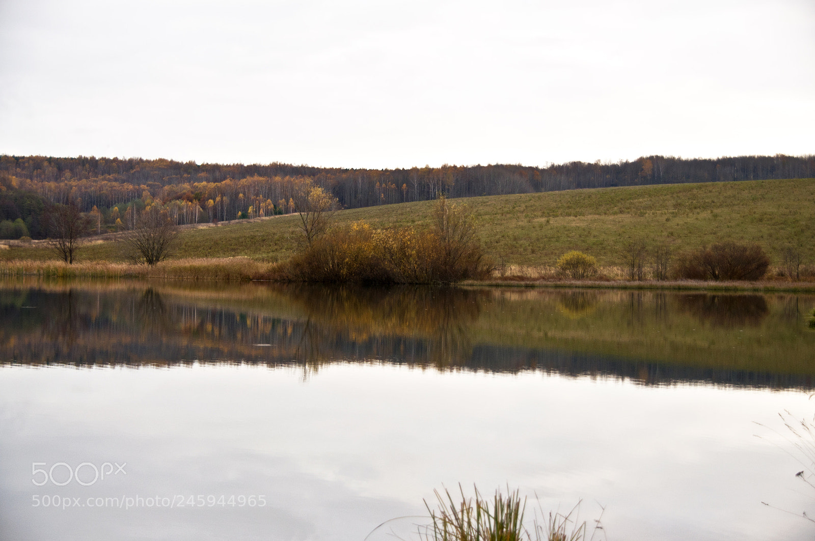 Nikon D90 sample photo. Smooth surface photography