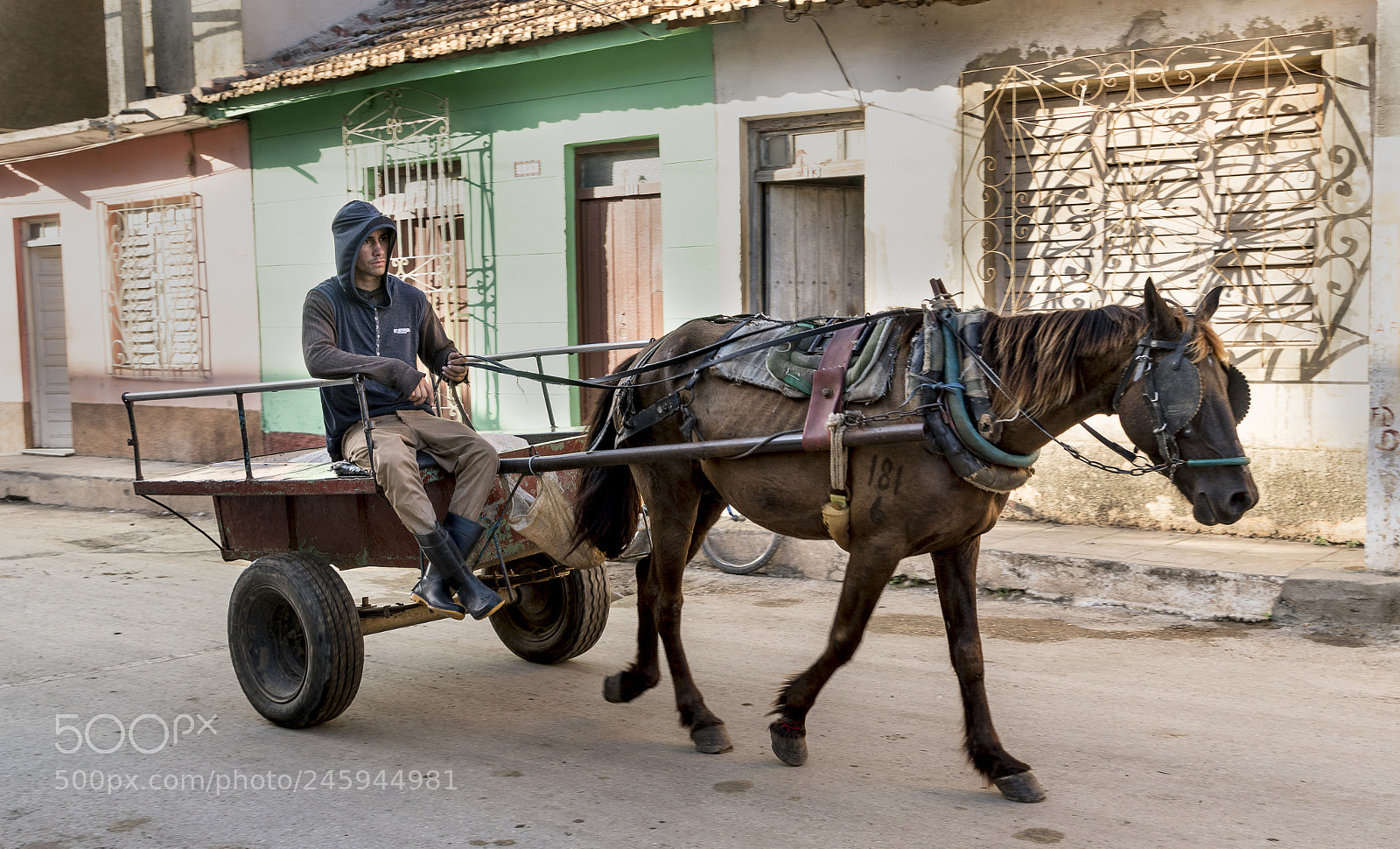Sony a7R II sample photo. Driving to work in photography