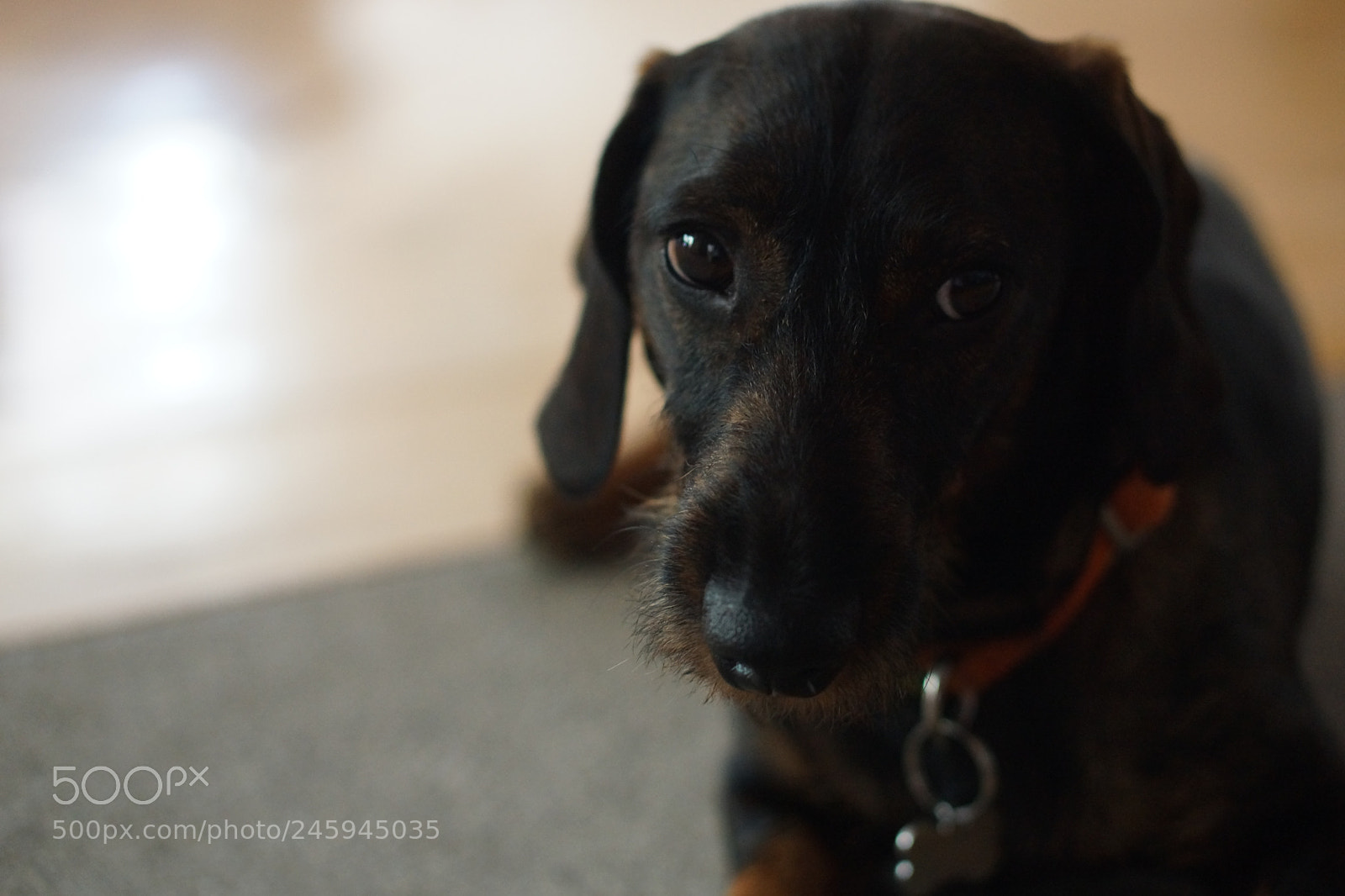 Sony Alpha NEX-7 sample photo. Portrait photography