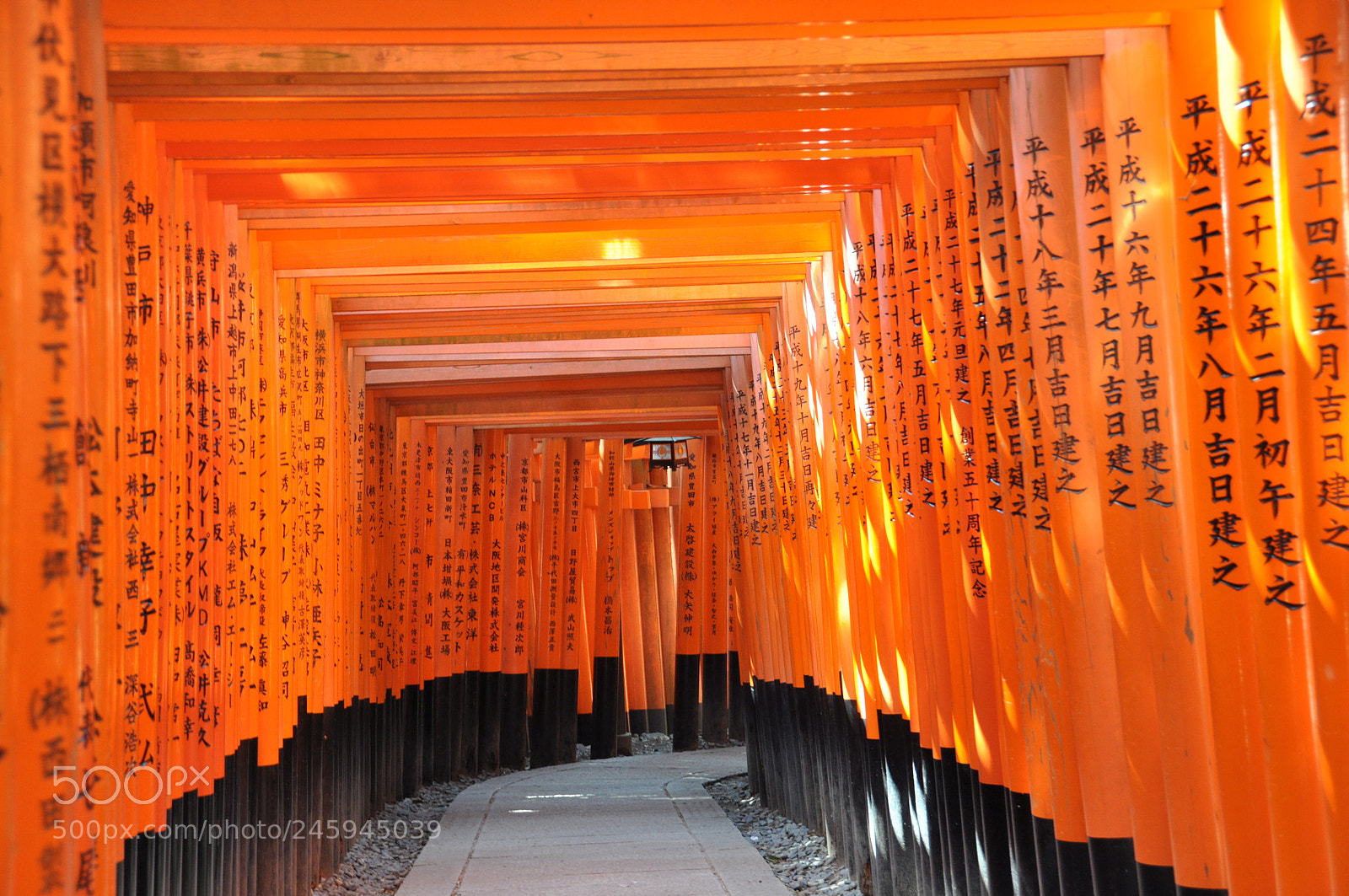 Nikon D90 sample photo. 31827850604.jpg photography