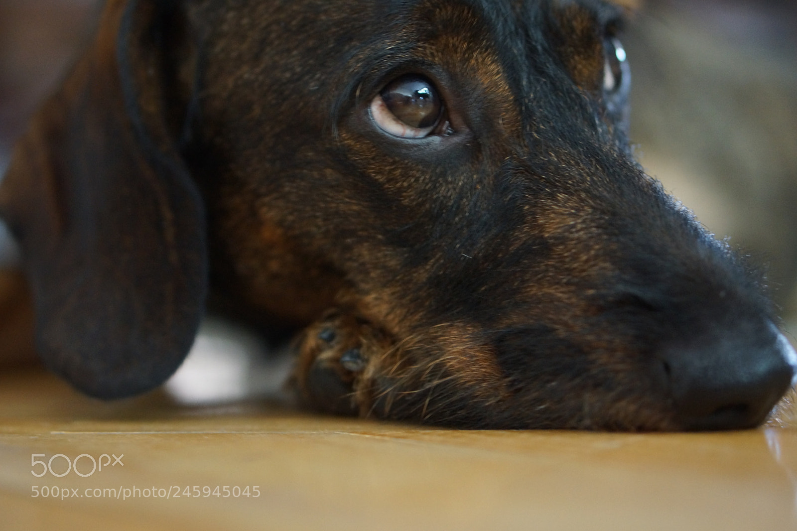Sony Alpha NEX-7 sample photo. Portrait photography