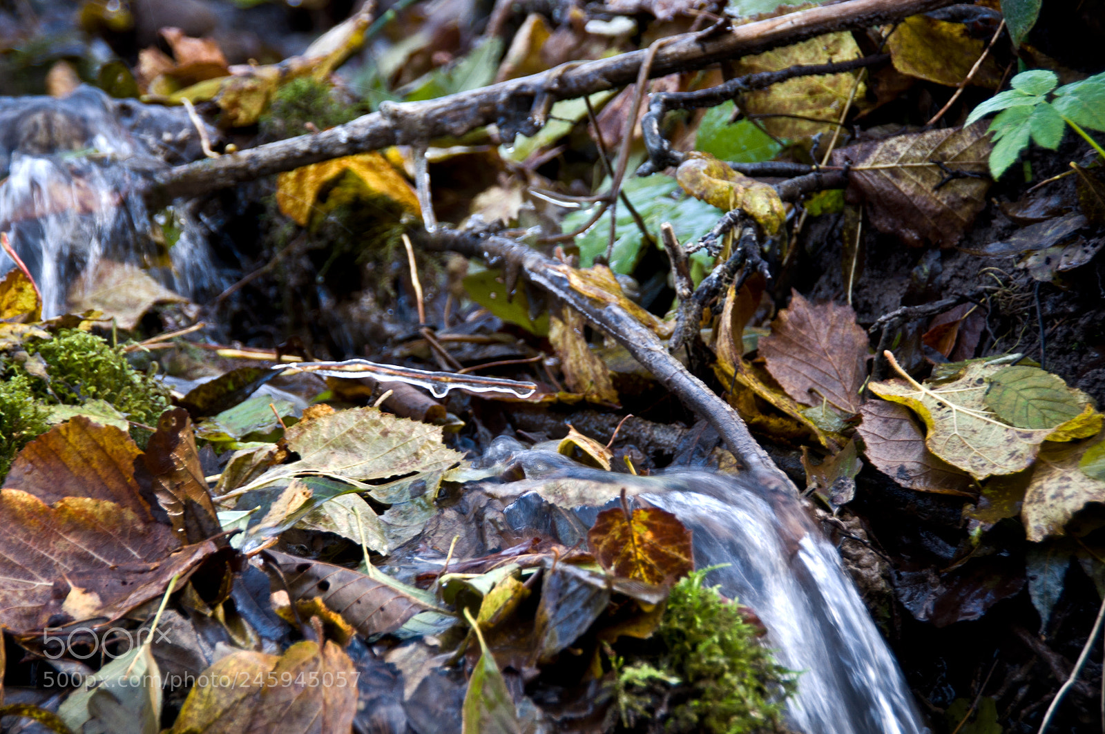 Nikon D90 sample photo. Living water photography