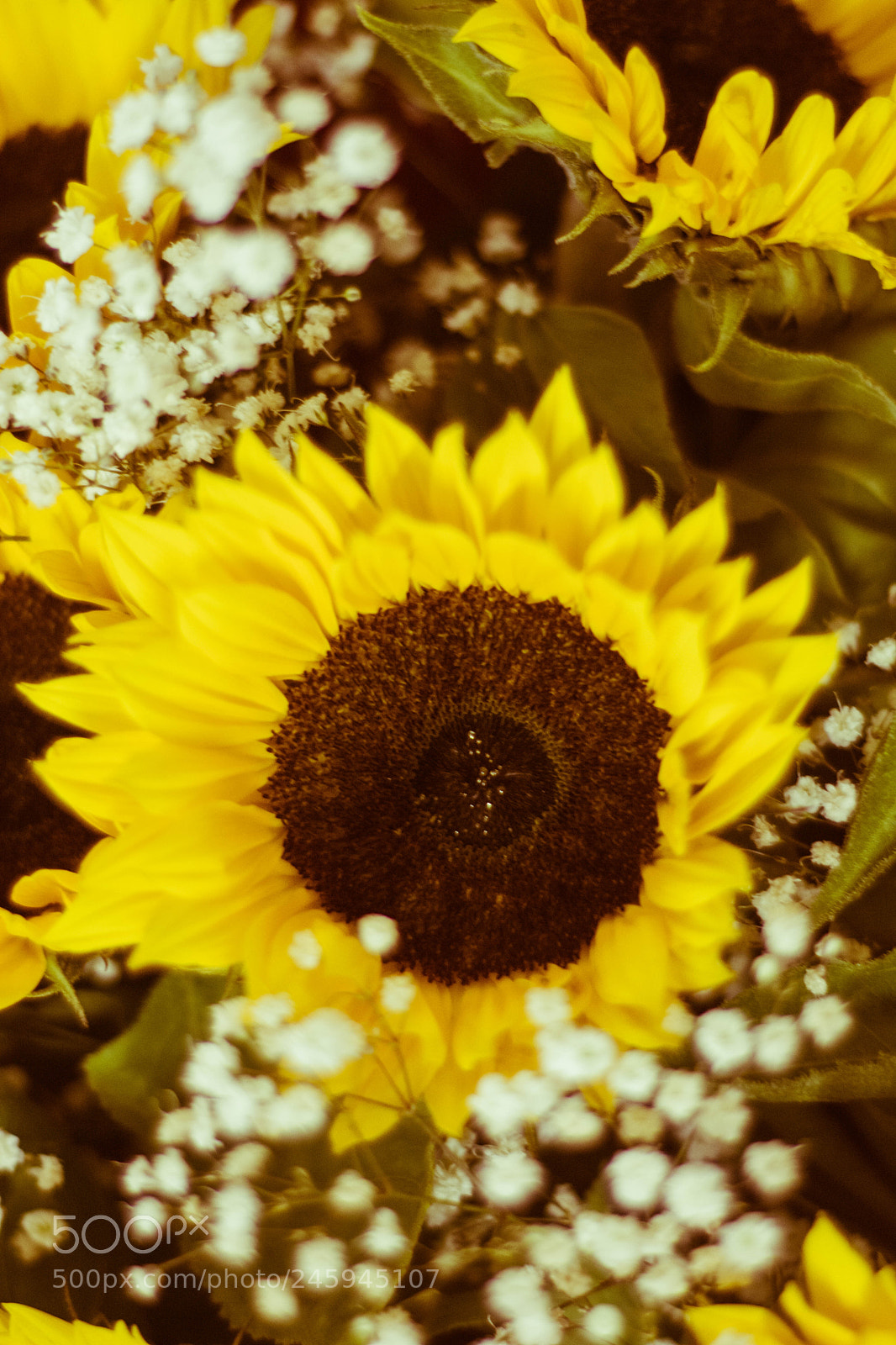 Nikon D7100 sample photo. Sunnies photography