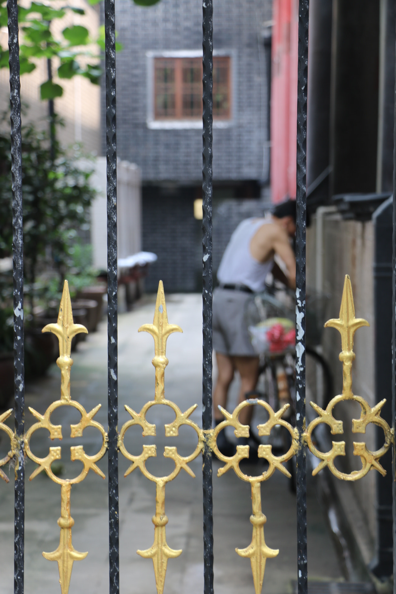 Canon EOS 760D (EOS Rebel T6s / EOS 8000D) sample photo