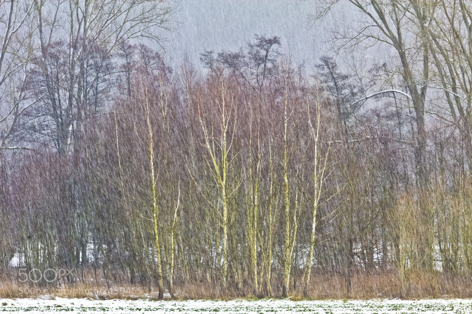 Canon EOS 60D sample photo. Shower of soft hail,yesterday photography