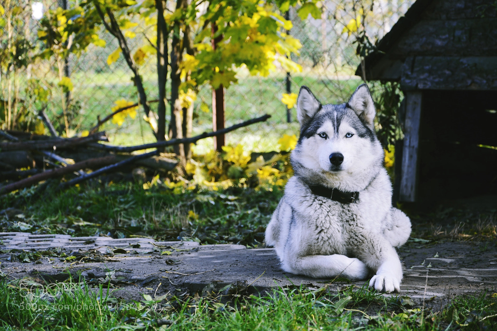Nikon D5200 sample photo. Hello my name is photography