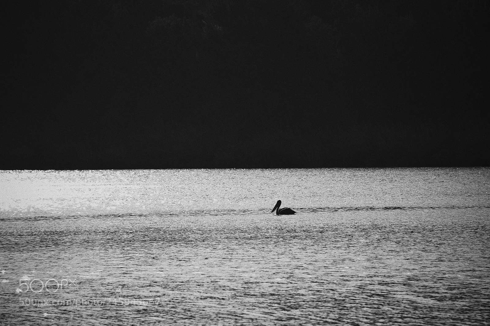 Nikon D7100 sample photo. Lonely photography