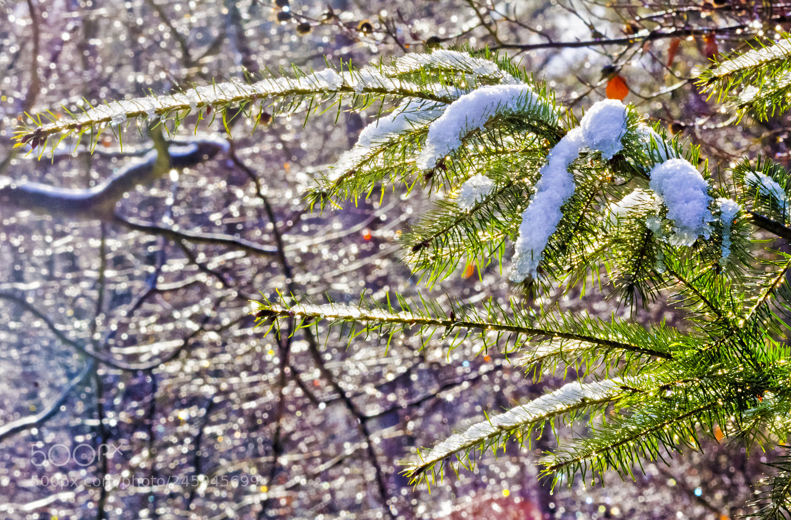 Canon EOS 60D sample photo. Warming sunbeams photography