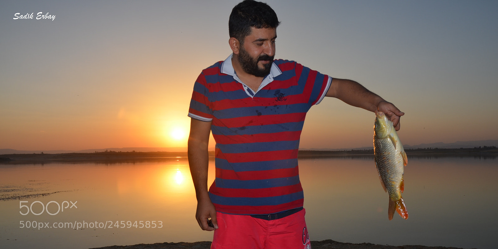 Nikon D5100 sample photo. Untitled photography