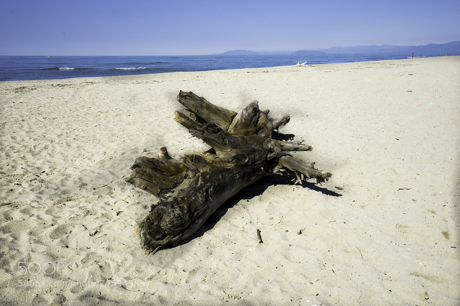 Sony a7 II sample photo. Vecchiano naufragb photography