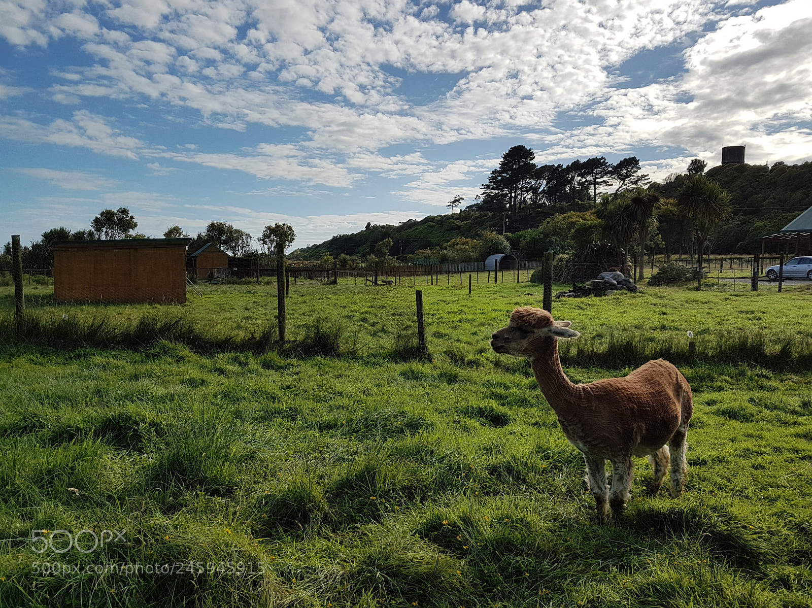 Samsung Galaxy S7 Edge sample photo. Untitled photography
