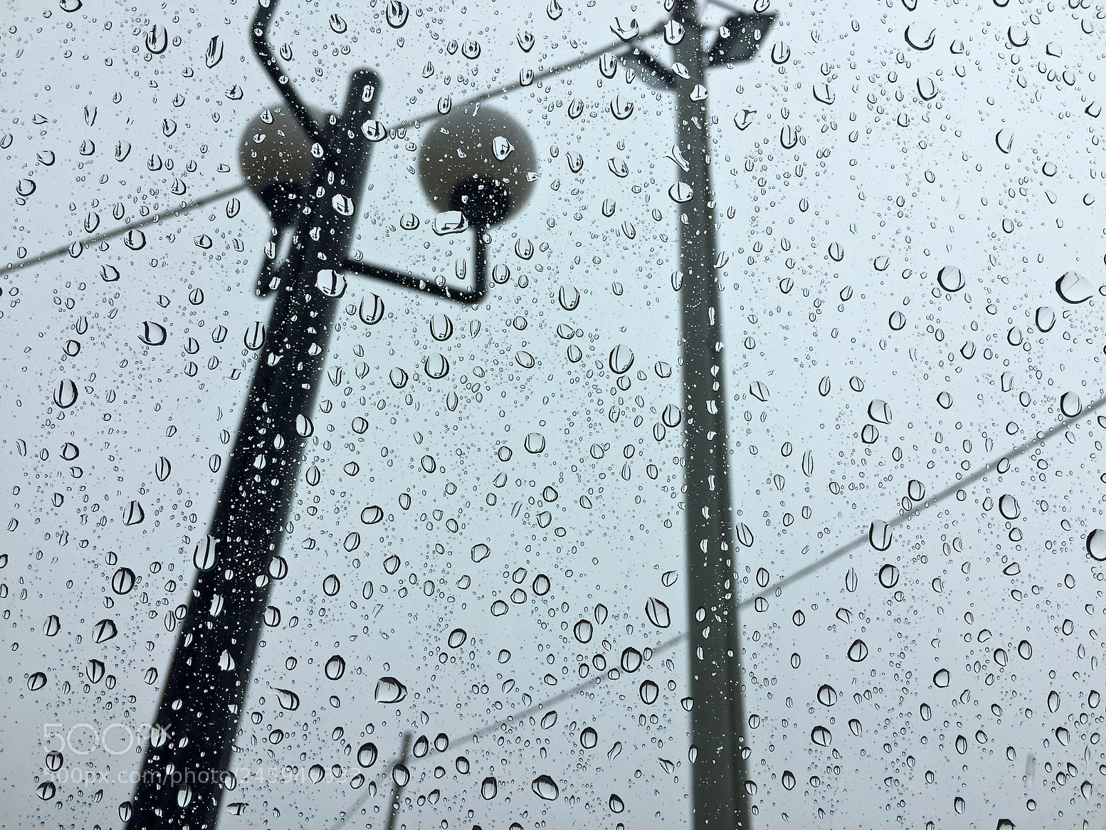 Apple iPhone 6 sample photo. That day, it was photography