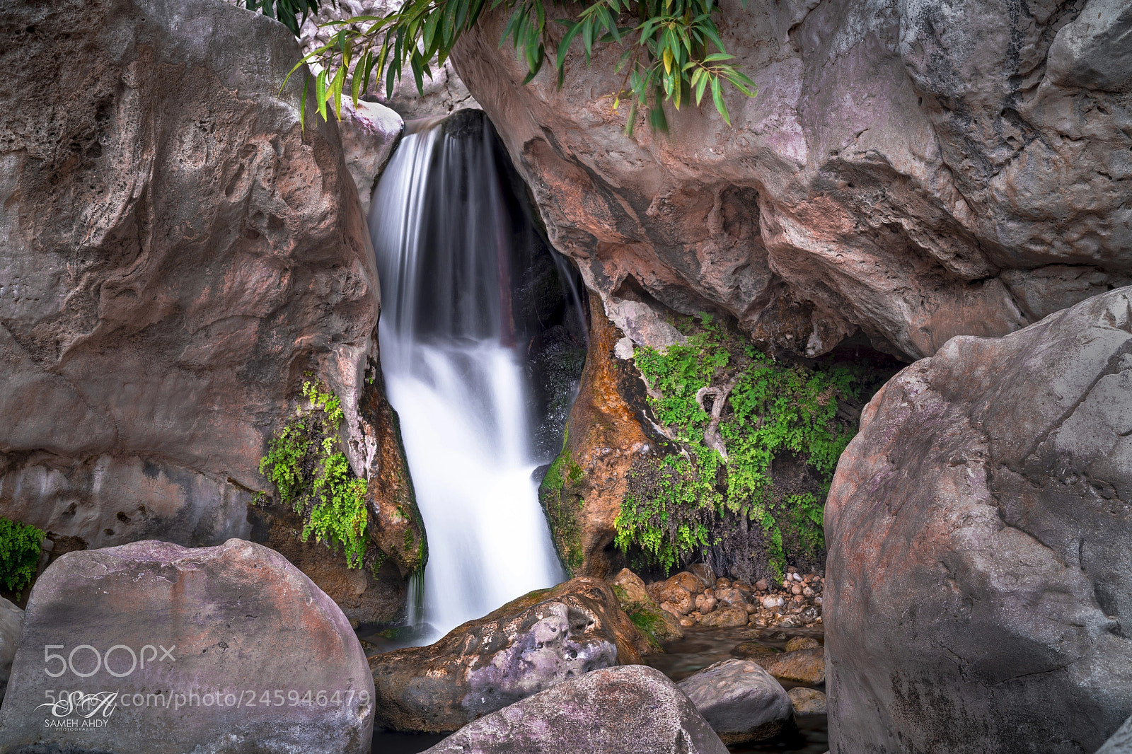 Nikon D850 sample photo. Waterfall wadi bani khalid photography